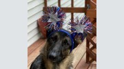 Meadow Brook Vet