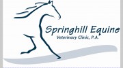 Springhill Equine