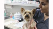 South Arkansas Veterinary Hospital