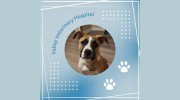 Valley Veterinary Hospital