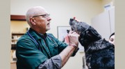 Deer Creek Veterinary Hospital