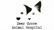 Deer Grove Animal Hospital