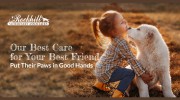 Rockhill Veterinary Associates