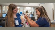 Veterinary Healthcare Assc