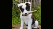 Paynesville Veterinary Clinic
