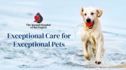 Animal Hospital Of Barrington
