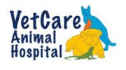 Goldenview Veterinary Hospital