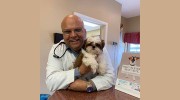 Milwaukee Walk In Vet Clinic