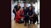 Paws & Claws Animal Hospital