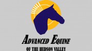 Advanced Equine Of The Hudson Valley