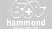 Hammond Animal Hospital