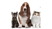 Village Animal Clinic