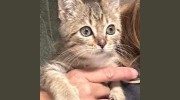 Animal Hospital Of The Rockies