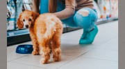 Vinton Veterinary Hospital
