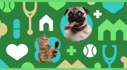 University Veterinary Hospital