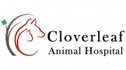 Cloverleaf Animal Hospital