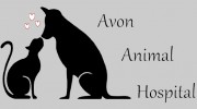 Avon Animal Hospital