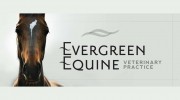 Evergreen Equine Veterinary: Lamb Jay L