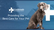 Crossroads Animal Care Center