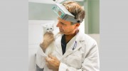 Borash Veterinary Clinic