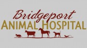 Bridgeport Animal Hospital
