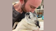 Clovis Pet Hospital Boarding