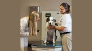 University Veterinary Hospital