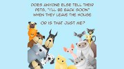 Animal Care Center