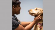The Animal Hospital Of North Charleston