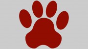 Bark River Animal Hospital