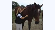 Medicine Wheel Veterinary Service