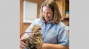Pine Bluff Animal Hospital