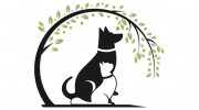 My Pet's Vet