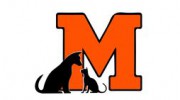 Massillon Animal Hospital