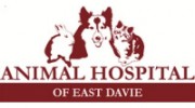 Animal Hospital Of East Davie