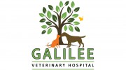 Galilee Veterinary Hospital