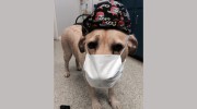 Eastwaye Veterinary Clinic