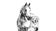 Crooked Creek Animal Hospital