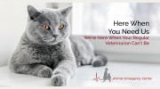 Animal Emergency Center
