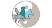 All Vet Care Animal Hospital