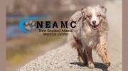 New England Animal Medical Center