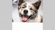 Riverbend Veterinary PetCare Hospital