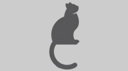 Ashworth Road Animal Hospital