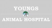 Young's Animal Hospital