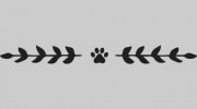 Damonte Ranch Animal Hospital