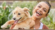 Main Street Animal Hospital