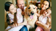 Sabal Palm Animal Hospital