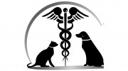 Northlake Veterinary Hospital