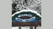 Black Oak Animal Hospital