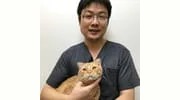 Mission Veterinary Clinic & Animal Emergency Hospital